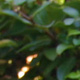 Ken Jacobs: Real Estate Agent in Walnut Creek, CA