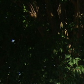 Dscf2644