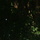 Dscf2644