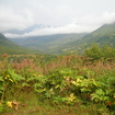 Dscn0151
