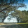 Img00184-20100327-1548