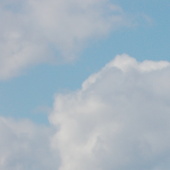 Abel_y_nina_477