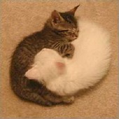 Yinyang