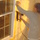 Dsc00577