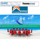 Leena  P (Processvirtual.com : Virtual Back End Processing): Virtual Assistant in Belleville, NJ