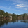 Treecutter_039
