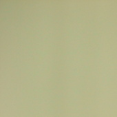 Pete_jung_feb_7_09_002