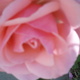 Mary Warren: Real Estate - Other in Las Vegas, NV