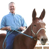 Riding_dolly