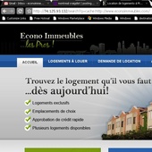 Econo_site_screen_shot