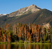 Istock_000007238981small