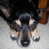 Picture_028