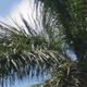Florida Real Estate Assistance, LLC: Real Estate Brokerage in Cape Coral, FL