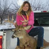 Mo_deer