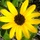 Flowers_-_bike_trip_-_12-24_008