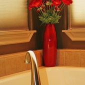 629hiddenarborway_masterbathtub