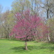 Mary Mitti: Appraiser in Greenport, NY