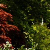 Brochure_picture_2