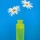 Daisy_vase2