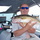 Fish2009