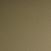 Greg_picture_2