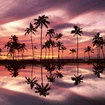 Florida's Beautiful Homes- Realtors Tampa FL Real Estate Brokerage