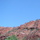 Dsc00017