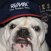 Rocky_1