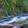Salmon_creek_near_oakridge