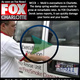 Inspector David Snell: Inspector in Charlotte, NC
