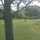 Image_344