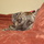 Dsc00508