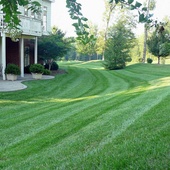 Lawn_active_rain
