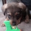Cowboy &mdash; Chief Morale Officer