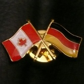 Pin