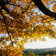Robert Cooke: Title Company in Parma, OH
