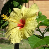 Dscn0542