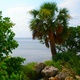 Joyce Gersky (Suncoast Agency): Account Exec in Port Charlotte, FL