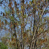 April_2006_013