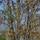 April_2006_013