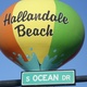 Josh Feygin (SIB Realty): Real Estate Agent in Hallandale Beach, FL