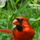 Dscn0556