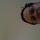 Petes_269