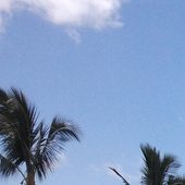 Swrightkula%20002