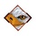 Eagle%20eye%20logo%203