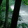 Bigstockphoto_misty_morning_stream_335042