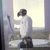 Sacramento_mold_inspector