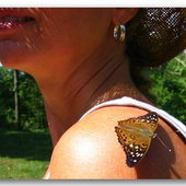 Hitchhiker_on_my_shoulder_close_up_blog