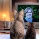Susan  Hull: Real Estate Agent in Canby, OR