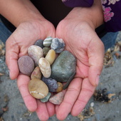 Rocks